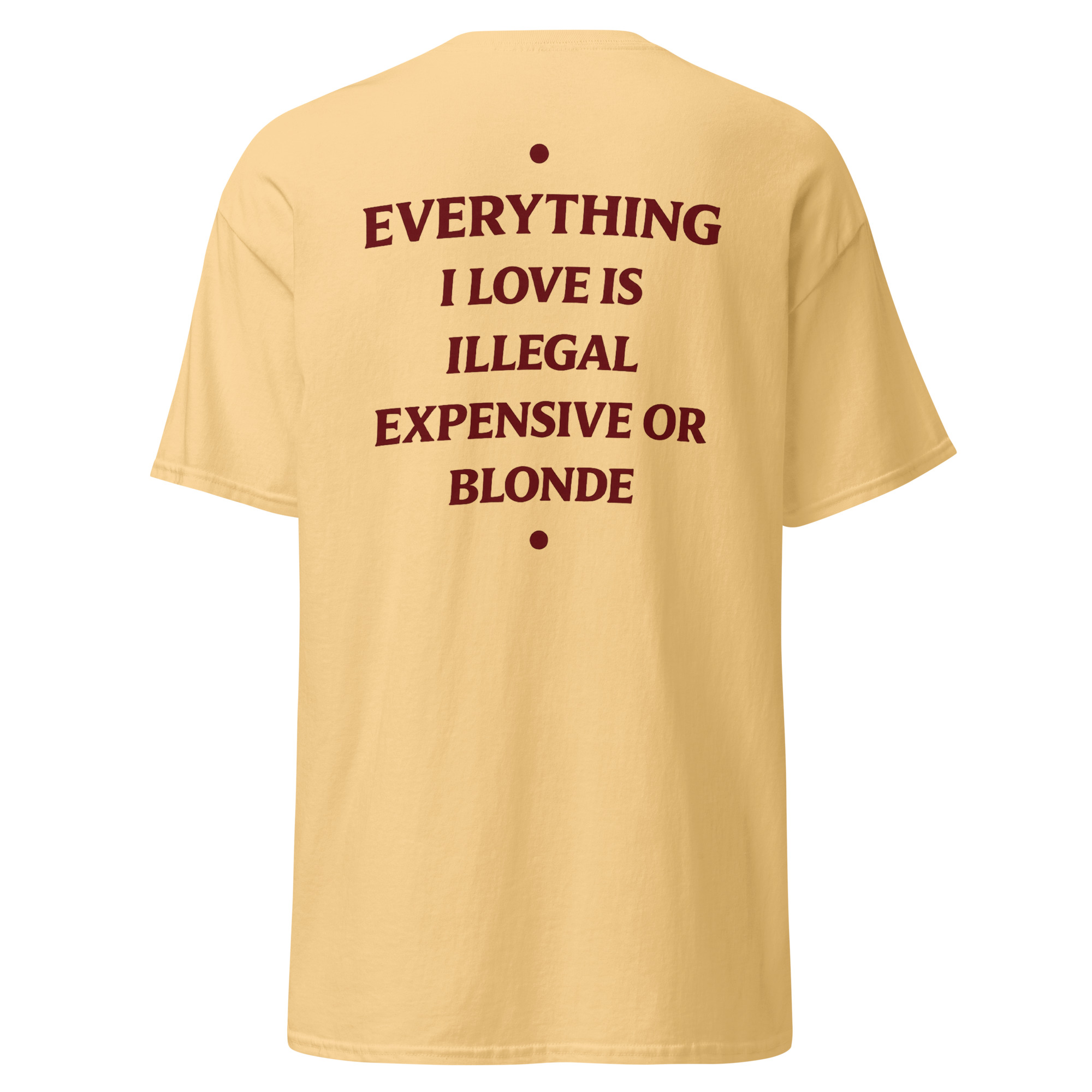 Everything I Love Is Illegal Expensive or Blonde Funny T-Shirt - Image 6